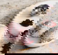 Gelatissimo - Lane Cove - Accommodation Bookings