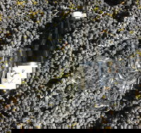 Tobin Wines - Accommodation Bookings