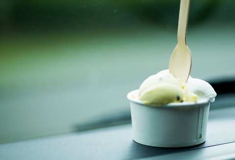Daintree Ice Cream Company - Accommodation Bookings 0