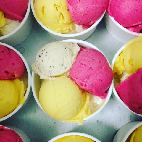 Daintree Ice Cream Company - Accommodation Bookings 2