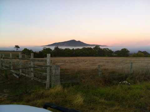 Mountainside Wines - Accommodation Bookings 0
