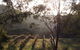 Mountainside Wines - thumb 1