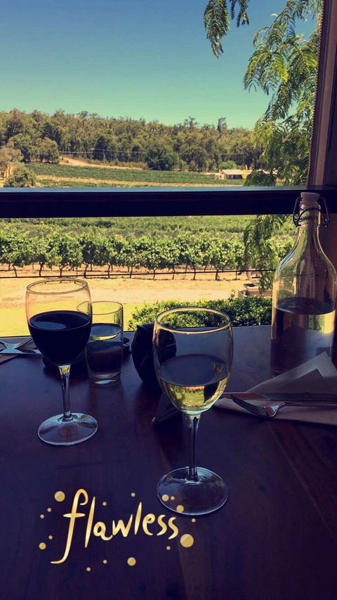Hainault Vineyard And Cafe - Accommodation Bookings 0