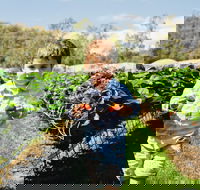 Hillwood Berries Farmgate  Pick Your Own - Accommodation Bookings