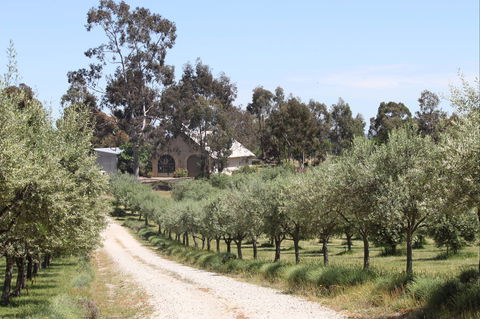 L'Oliveraie Olive Grove - Accommodation Bookings 0