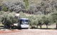 L'Oliveraie Olive Grove - thumb 2