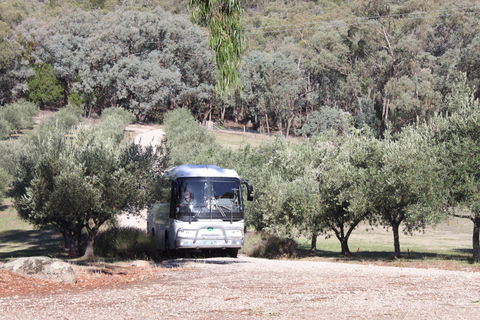 L'Oliveraie Olive Grove - Accommodation Bookings 2