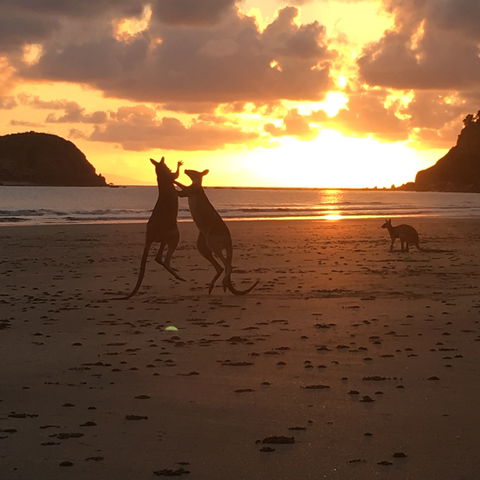 Organic And Natural Store - Accommodation Bookings 1