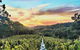 Between The Vines Cellar Door - thumb 0