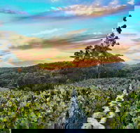 Between the Vines Cellar Door - Accommodation Bookings