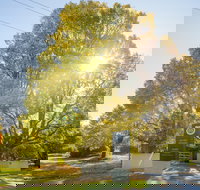 Brown Brothers Milawa Vineyard - Accommodation Bookings