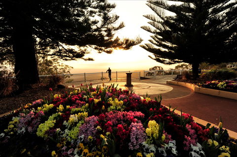 Picnic Point Cafe And Restaurant - Accommodation Bookings 0