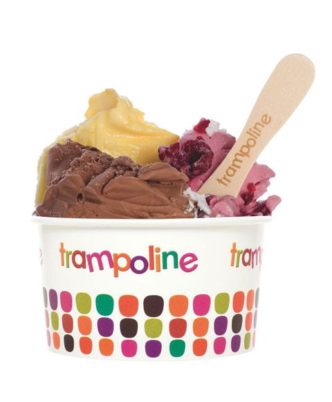 Trampoline Gelato - Doncaster - Accommodation Bookings 0