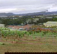 Villa d Esta Vineyard - Accommodation Bookings