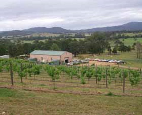 Villa D Esta Vineyard - Accommodation Bookings 0
