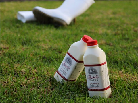 Bodalla Dairy - Cheese, Milk And Ice Cream Factory And Cafe - Accommodation Bookings 0