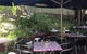 Herbees Cafe - thumb 0
