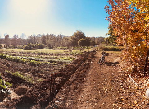 Synchronicity Farm - Accommodation Bookings 1