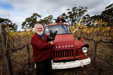The Shiraz Republic - Accommodation Bookings 0