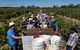 The Shiraz Republic - thumb 1
