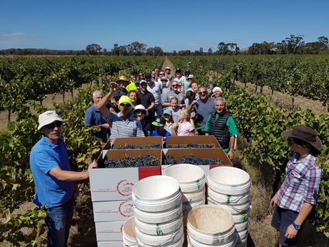 The Shiraz Republic - Accommodation Bookings 1