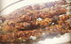 Uyghur Cuisine - thumb 0
