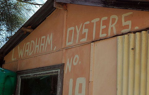 Les Wadham Oysters - Broken Bay Pacific Oysters - Accommodation Bookings 0