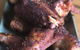 Meating Room - thumb 1