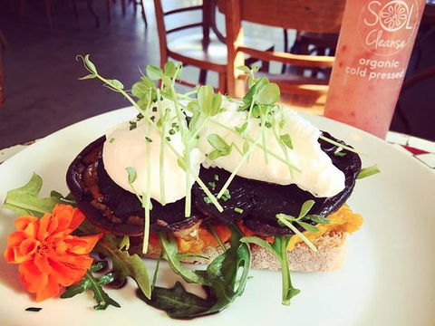 Succulent Cafe - Accommodation Bookings 0