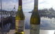 The Sundeck Bermagui - thumb 7