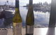 The Sundeck Bermagui - thumb 8