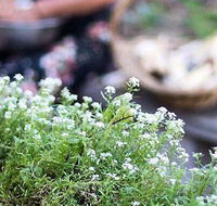 Harvest - Accommodation Bookings