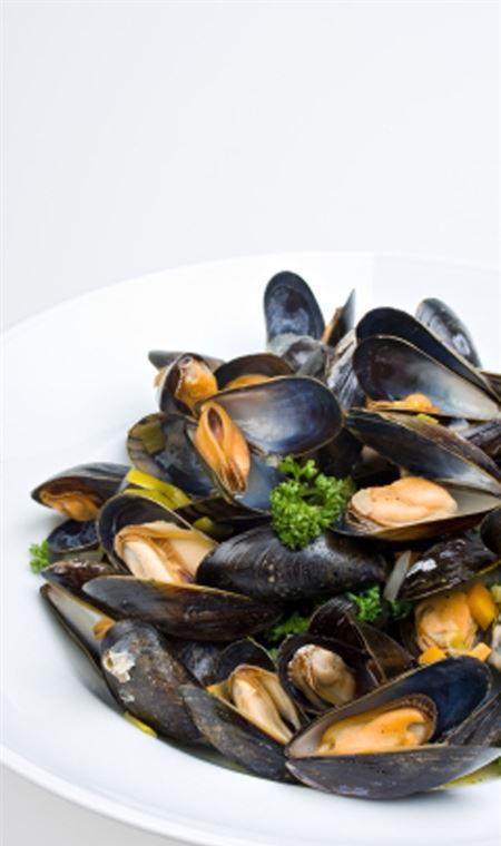 Lifeboat Seafood - Accommodation Bookings 4
