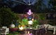 Wayne & Adele's Garden Of Eating - thumb 3