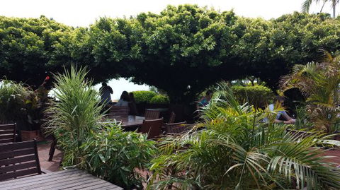 Wharf Restaurant - Accommodation Bookings 0