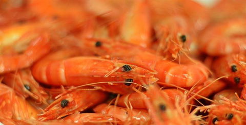 Wheelers Seafood Restaurant - Accommodation Bookings 27