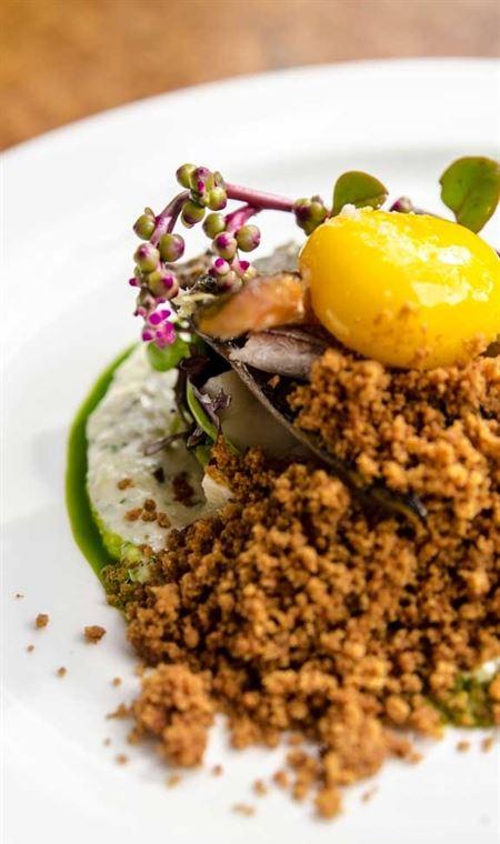 The Tadka Club - Accommodation Bookings 4