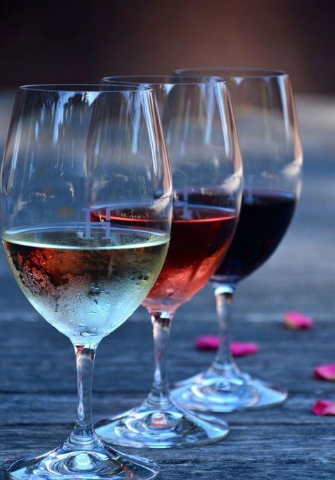 Vines Restaurant At Hollydene Estate - Accommodation Bookings 8