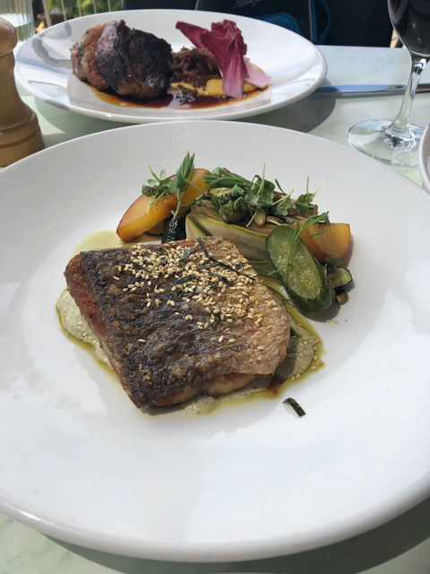 Wise Vineyard Restaurant - Accommodation Bookings 6