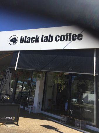 Black Lab Coffee - Accommodation Bookings 0