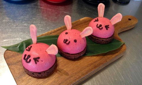 Lazy Rabbit - Accommodation Bookings 9
