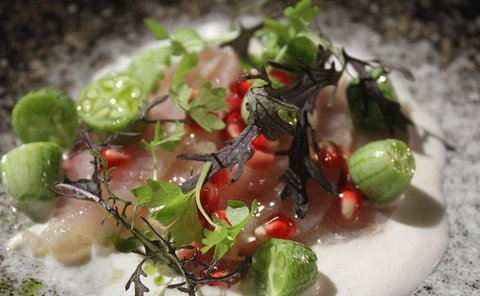 Allegra Dining - Accommodation Bookings 1