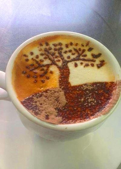 The Grumpy Cup - Accommodation Bookings 1