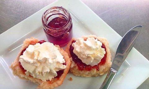 The Grumpy Cup - Accommodation Bookings 2