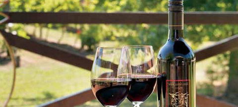 Wild Cattle Creek Estate Restaurant - Accommodation Bookings 4