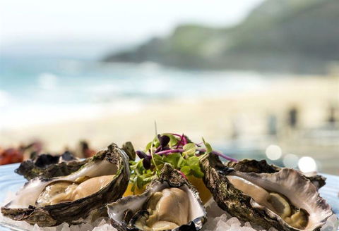 Tinto Thai - Accommodation Bookings 5