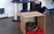 Hobart Cat Cafe - thumb 3