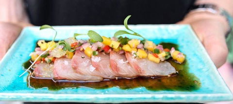 Sash Japanese Pizza - Accommodation Bookings 0