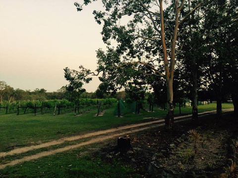 Brierley Wines - Accommodation Bookings 0