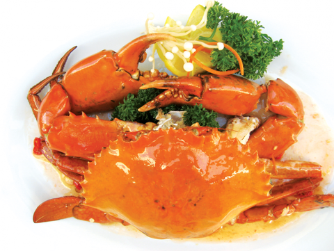 Taste Of China Restaurant - Accommodation Bookings 3